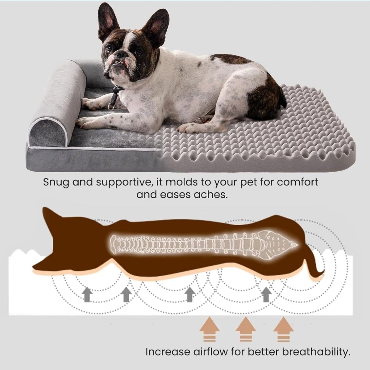 Lit Orthopédique pour Chien